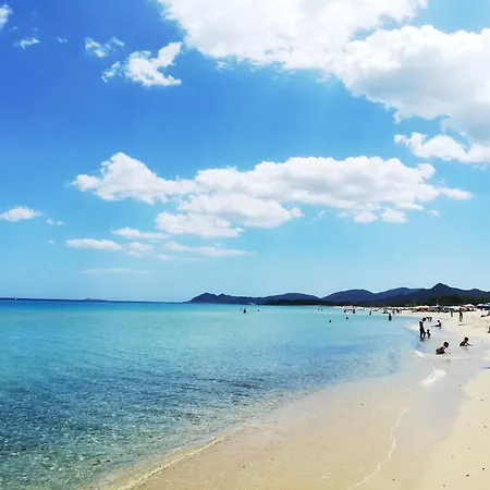 Su Cramu Daire Villacidro