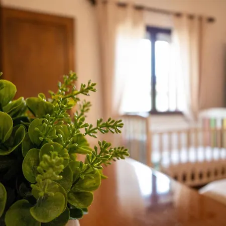 Apartamento Su Cramu *