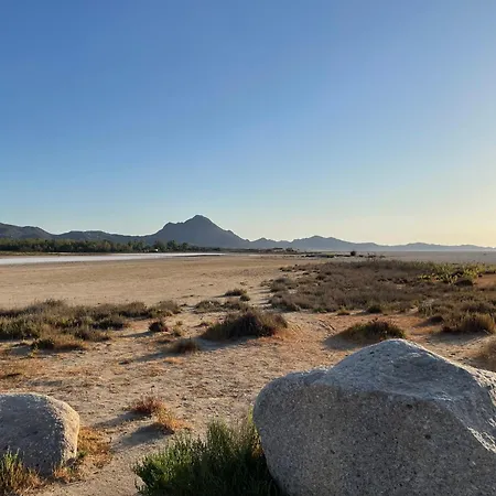 Su Cramu 维拉奇多