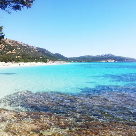 Su Cramu 维拉奇多