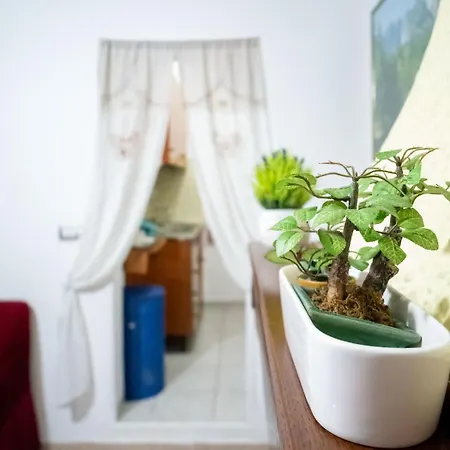 Su Cramu Apartment *